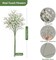 36 Pcs Babys Breath Artificial Flowers, Baby Breath Flowers Artificial Bulk Long Stem Fake Babies Breath Faux Gypsophila White Flowers Artificial for Decoration (No Eucalyptus Stems)